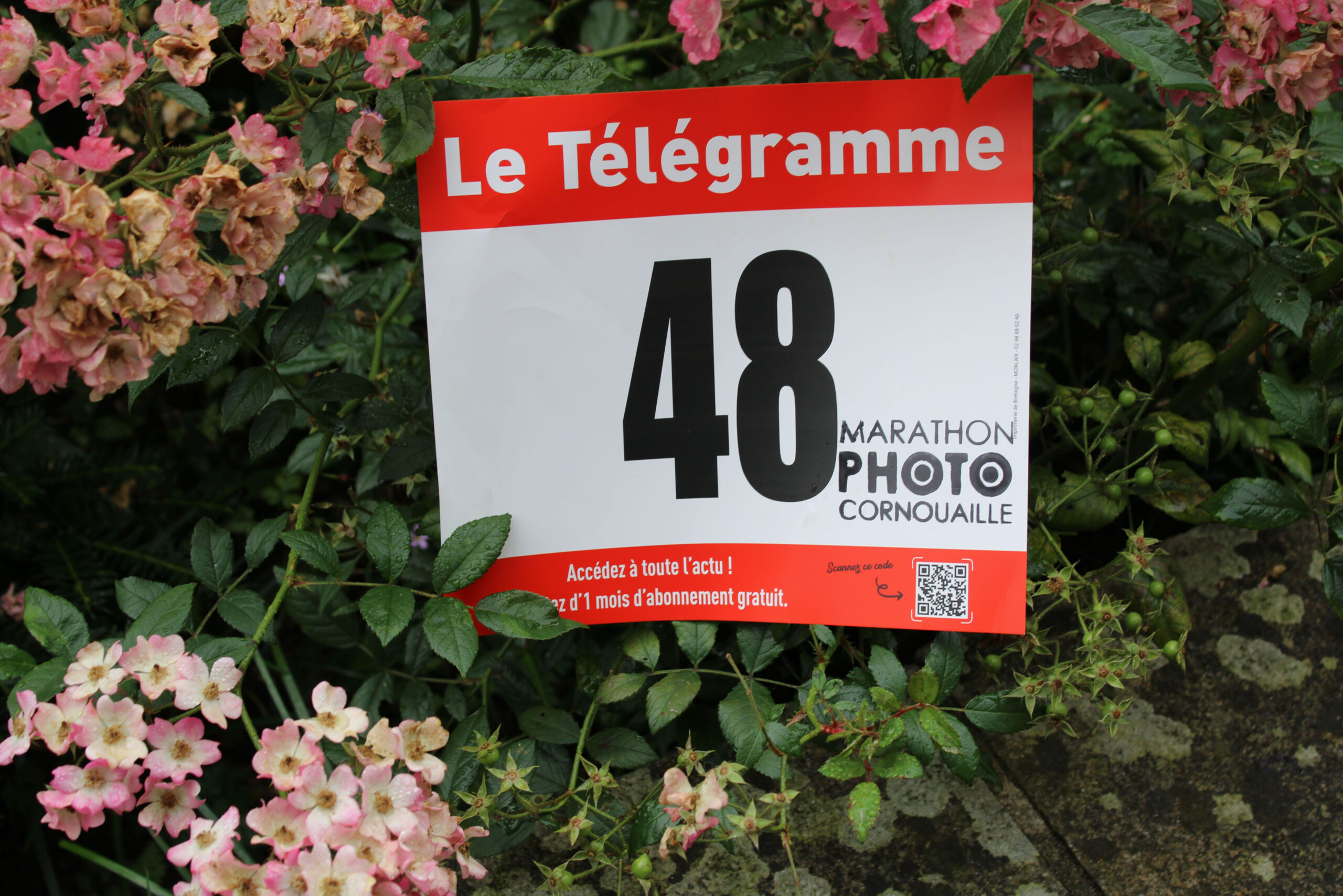T48
